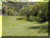 East Glade